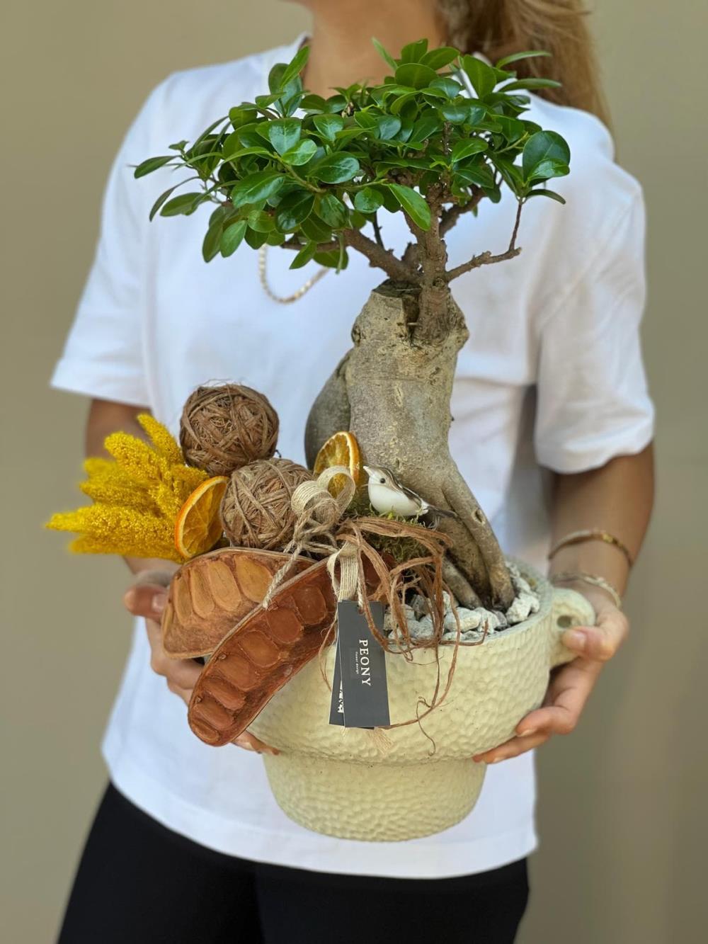 Naturel Yellow Jumbo Bonsai Ağacı